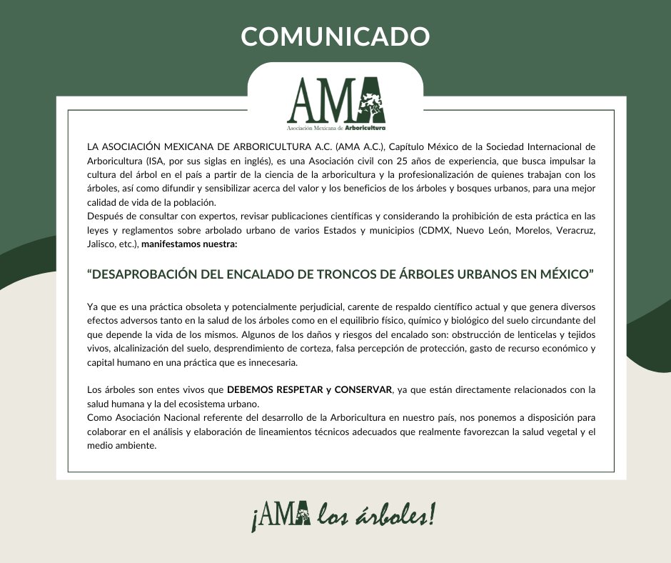 AMA Arboricultura tweet media