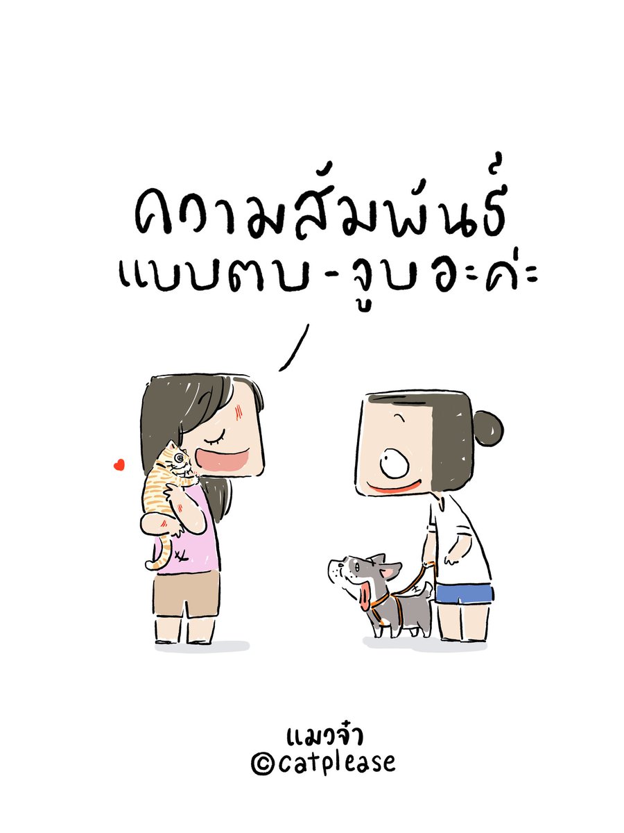 dogplease2013's tweet photo. #แมวจ๋า #catplease https://t.co/QsxUSi6vCC