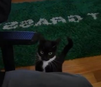 spreenkillah_'s tweet image. t amo micha