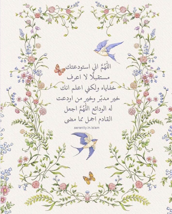 طمأنينة✨ (@_tmaninah) on Twitter photo 