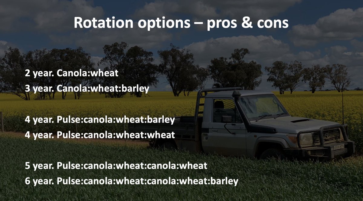 Grassroots Agronomy (@grassrootsag) on Twitter photo <a href="/agrobaz/">Barry Haskins</a> <a href="/theGRDC/">GRDC</a> <a href="/tony_swan64/">Tony Swan</a> <a href="/AgroJAK/">John Kirkegaard</a> <a href="/Farm_Link/">FarmLink Research</a> <a href="/MathewDunn19/">Mathew Dunn</a> The project funding cycle only allowed a 3 year rotation, in reality sequences are more varied. For you the pulse/wheat/canola/wheat works others prefer double break + double cereal.
Ideally looking for diversity with pulses at 20%, 25% or 30% of the rotation. Great discussion! <a href="/agrobaz/">Barry Haskins</a> <a href="/theGRDC/">GRDC</a> <a href="/tony_swan64/">Tony Swan</a> <a href="/AgroJAK/">John Kirkegaard</a> <a href="/Farm_Link/">FarmLink Research</a> <a href="/MathewDunn19/">Mathew Dunn</a> The project funding cycle only allowed a 3 year rotation, in reality sequences are more varied. For you the pulse/wheat/canola/wheat works others prefer double break + double cereal.
Ideally looking for diversity with pulses at 20%, 25% or 30% of the rotation. Great discussion!