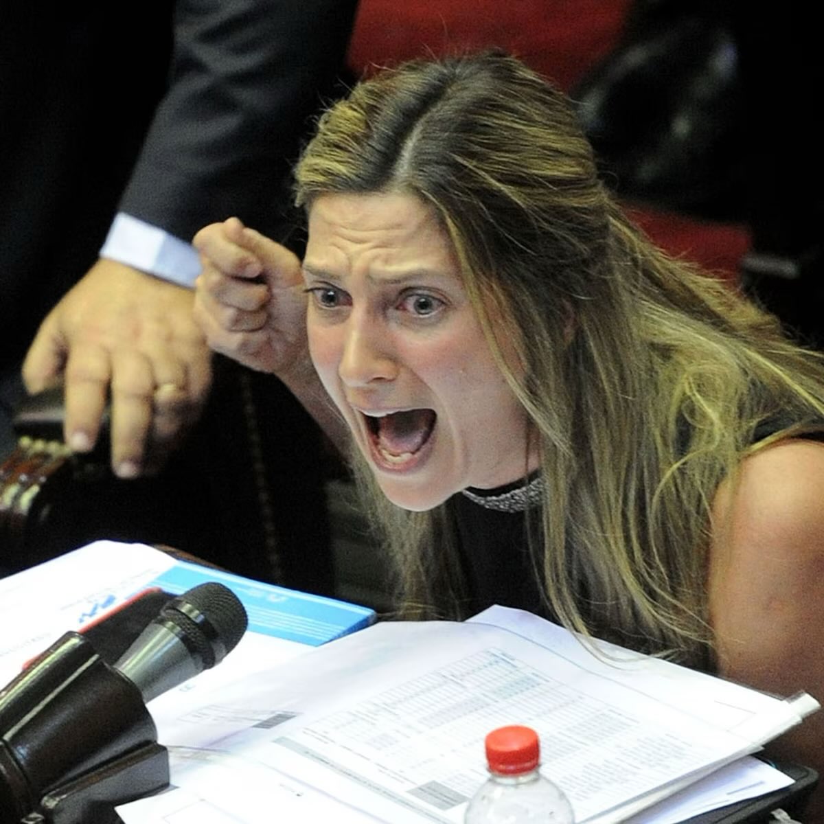 Lospennato hizo campaña con los jubilados. Hoy hubo sesión para aumentar las jubilaciones. Se abstuvo.