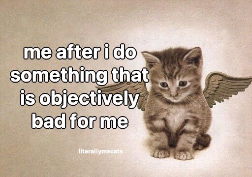 literallymecats's tweet photo. https://t.co/iTikYE5OJD