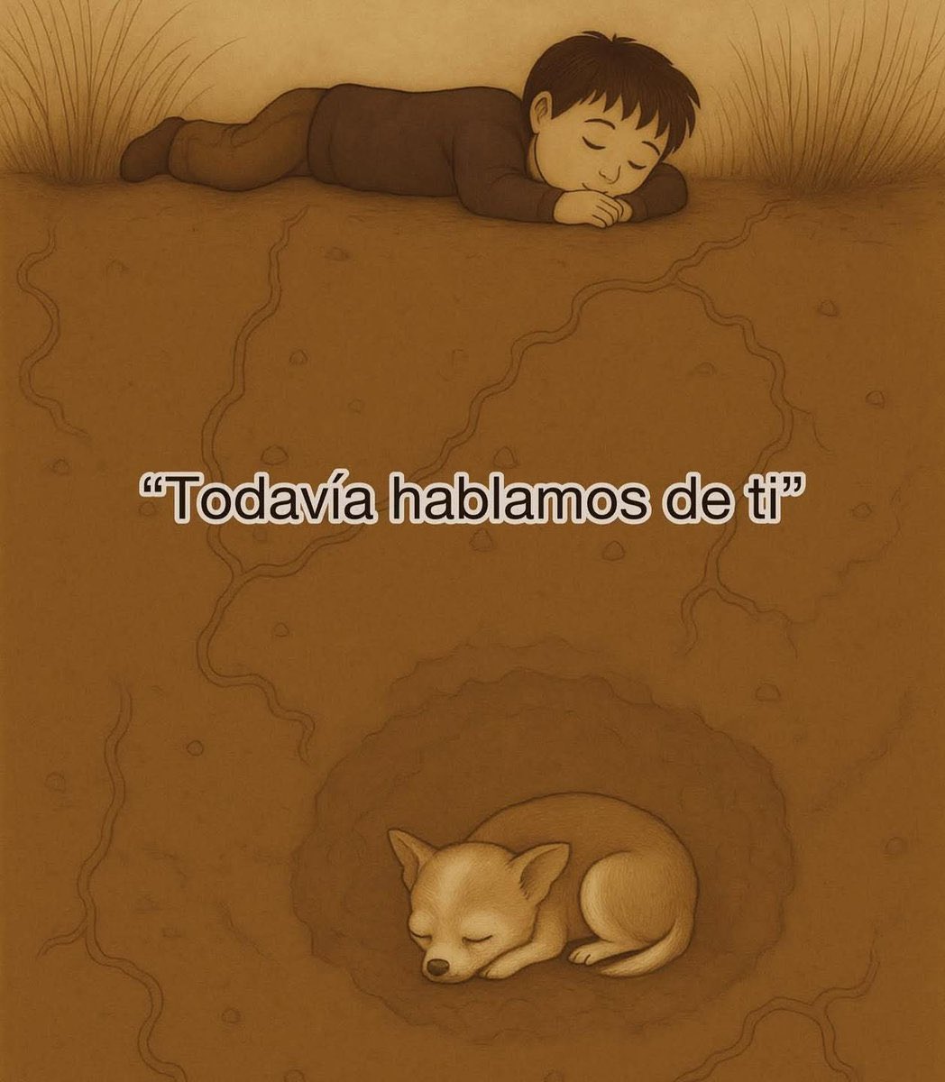 Reflexiones (@soloreflexiones) on Twitter photo 