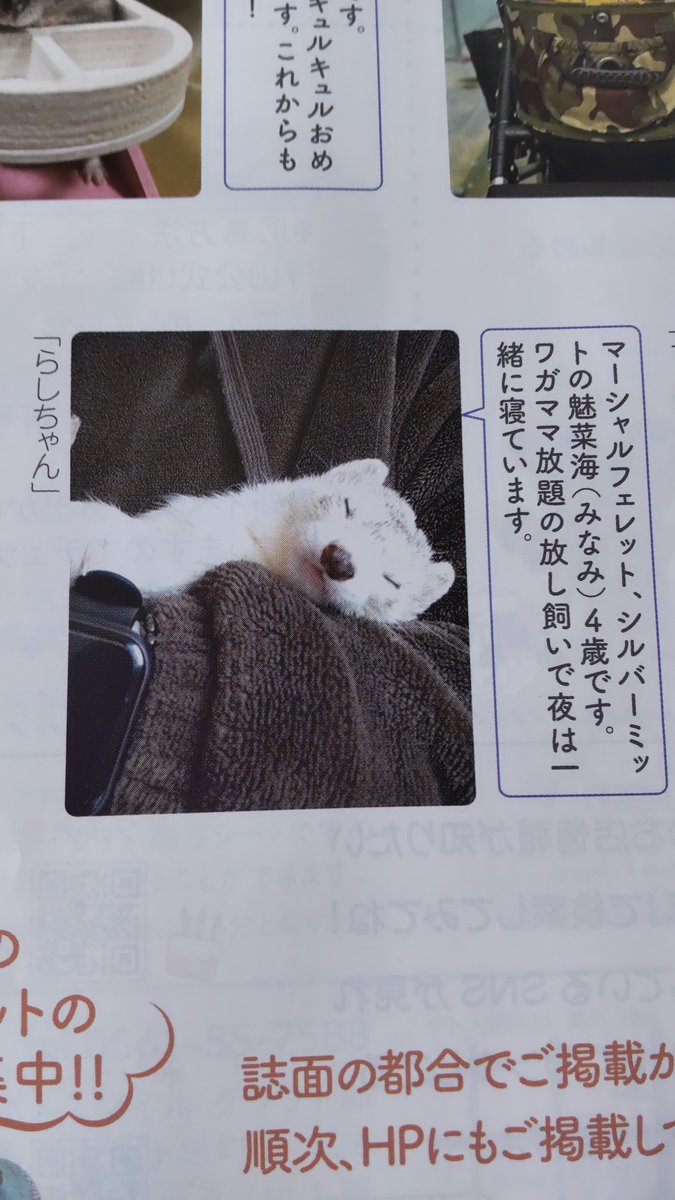 satekate1809's tweet image. 尾張旭・瀬戸・守山区の情報誌、 #Potos！ に、うちのニョロニョロ娘が掲載されました。
ニョロニョロʕ•ᴥ•ʔ