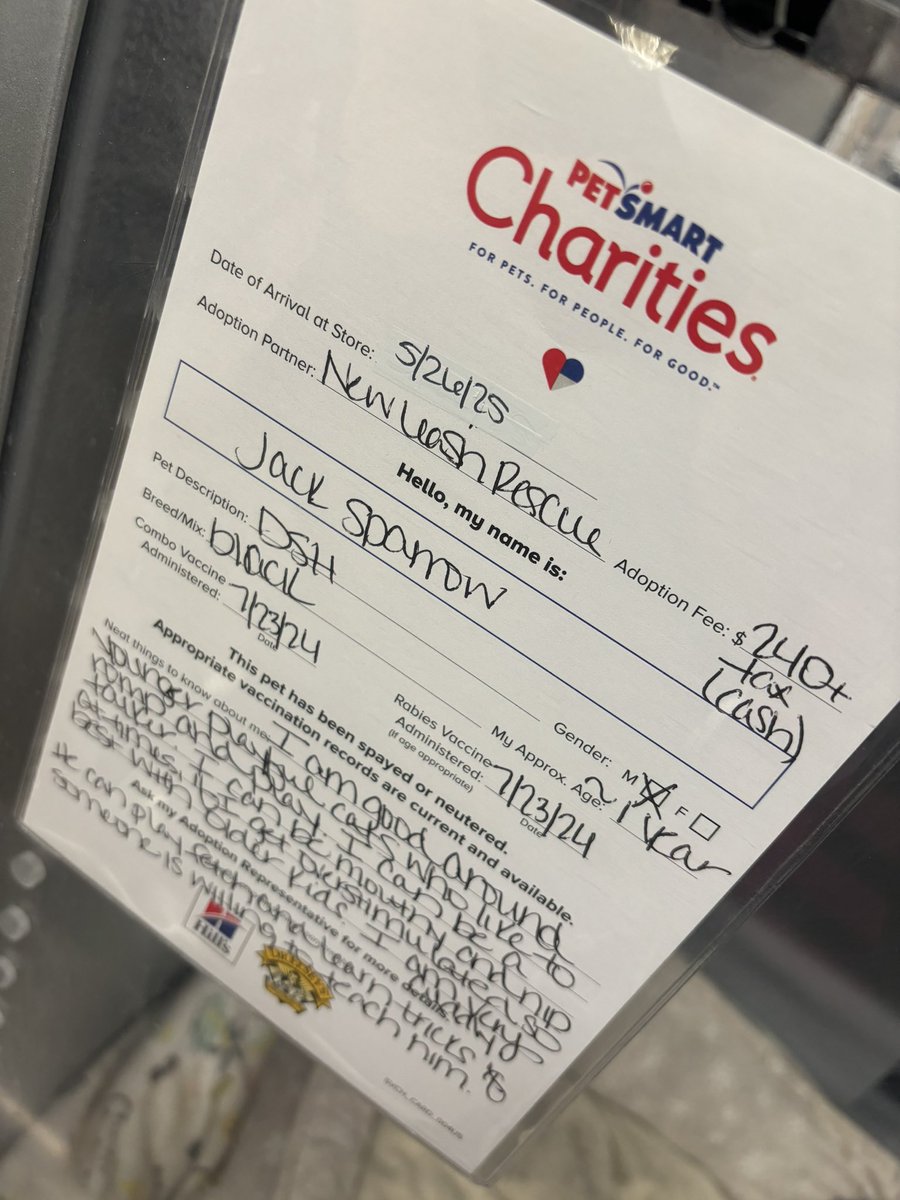 (   look at this guy   )