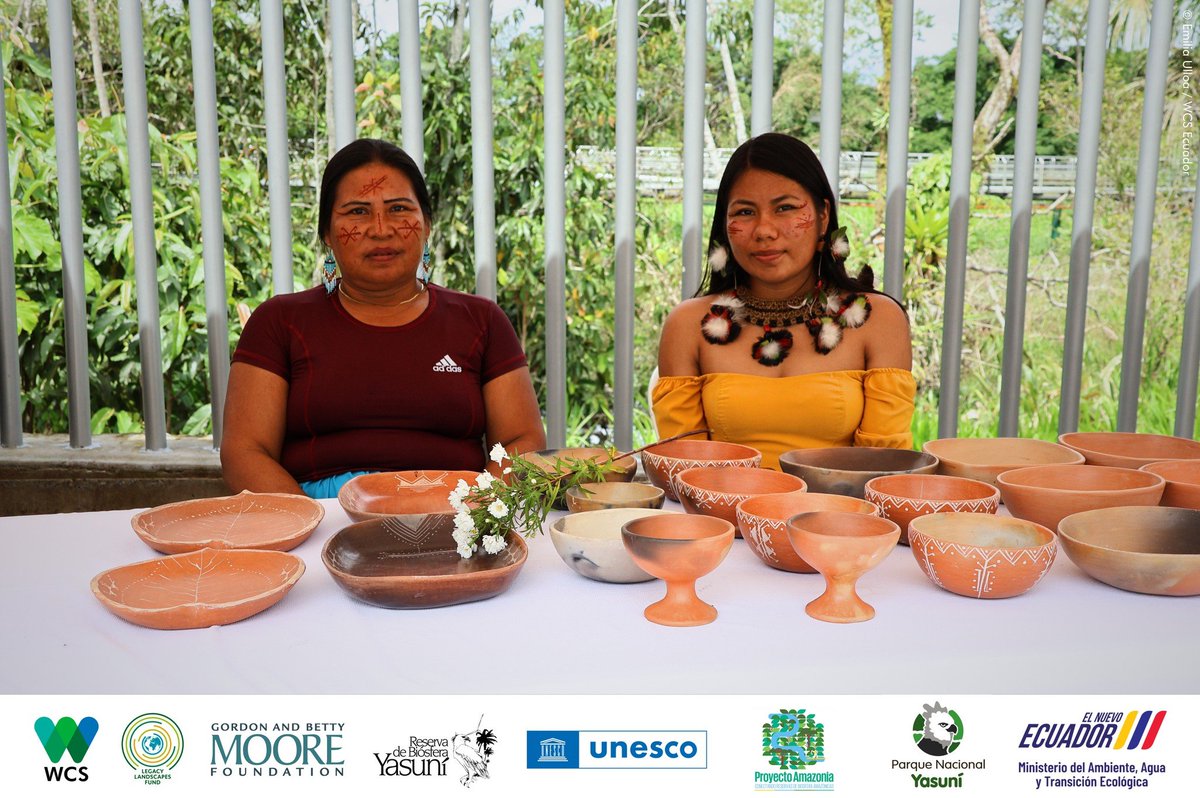 WCSEcuador's tweet photo. #AniversarioRBY 🎉 | En el marco de las celebraciones por los #36años de la declaratoria internacional de la #ReservadeBiósferaYasuní 🐾🌱, el fin de semana en la bocana del río Payamino, se llevó a cabo una Feria de #Bioemprendimientos y la noche cultural #Butako.
🖐️💚💙 https://t.co/HoC3KBA6cd