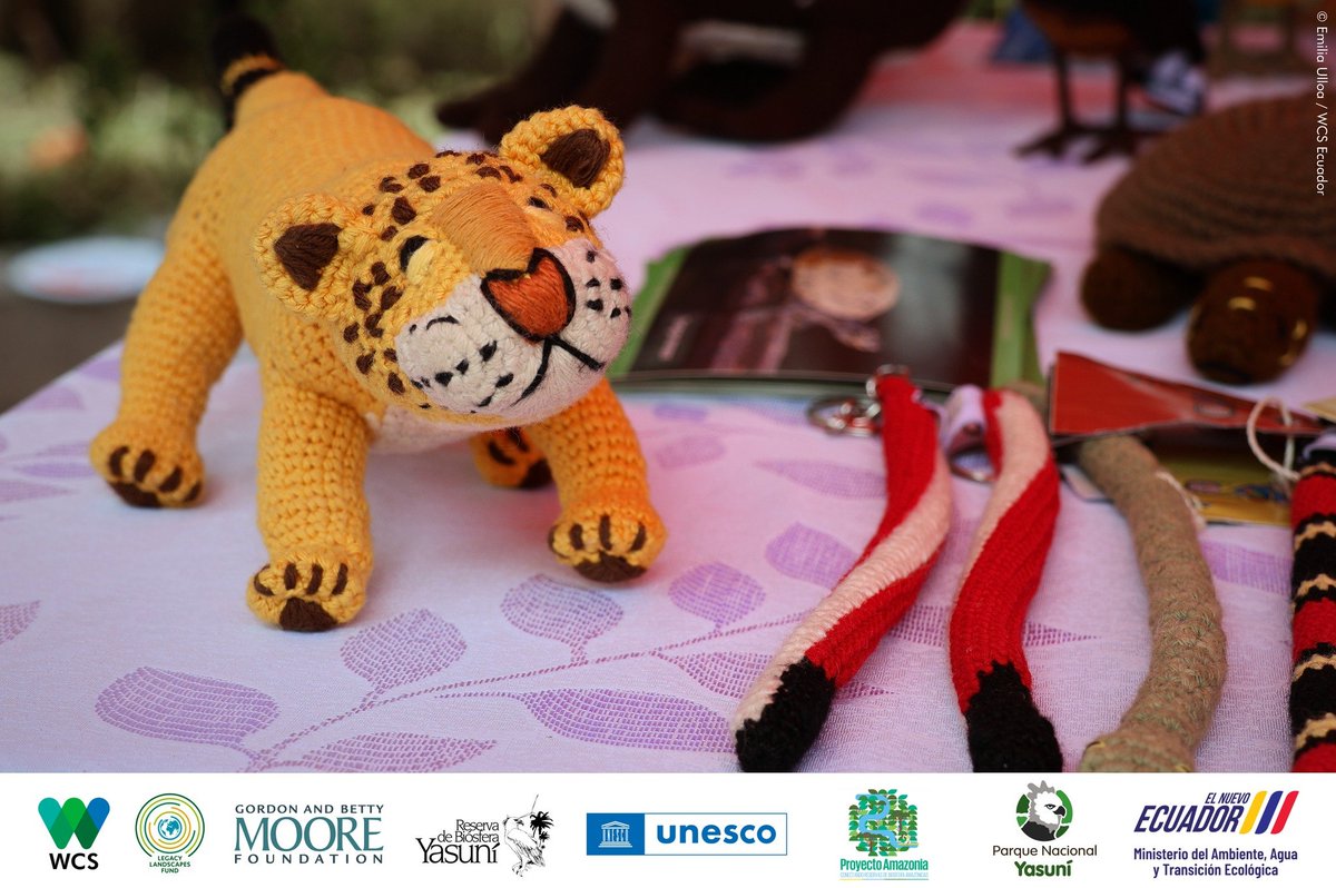 WCSEcuador's tweet photo. #AniversarioRBY 🎉 | En el marco de las celebraciones por los #36años de la declaratoria internacional de la #ReservadeBiósferaYasuní 🐾🌱, el fin de semana en la bocana del río Payamino, se llevó a cabo una Feria de #Bioemprendimientos y la noche cultural #Butako.
🖐️💚💙 https://t.co/HoC3KBA6cd