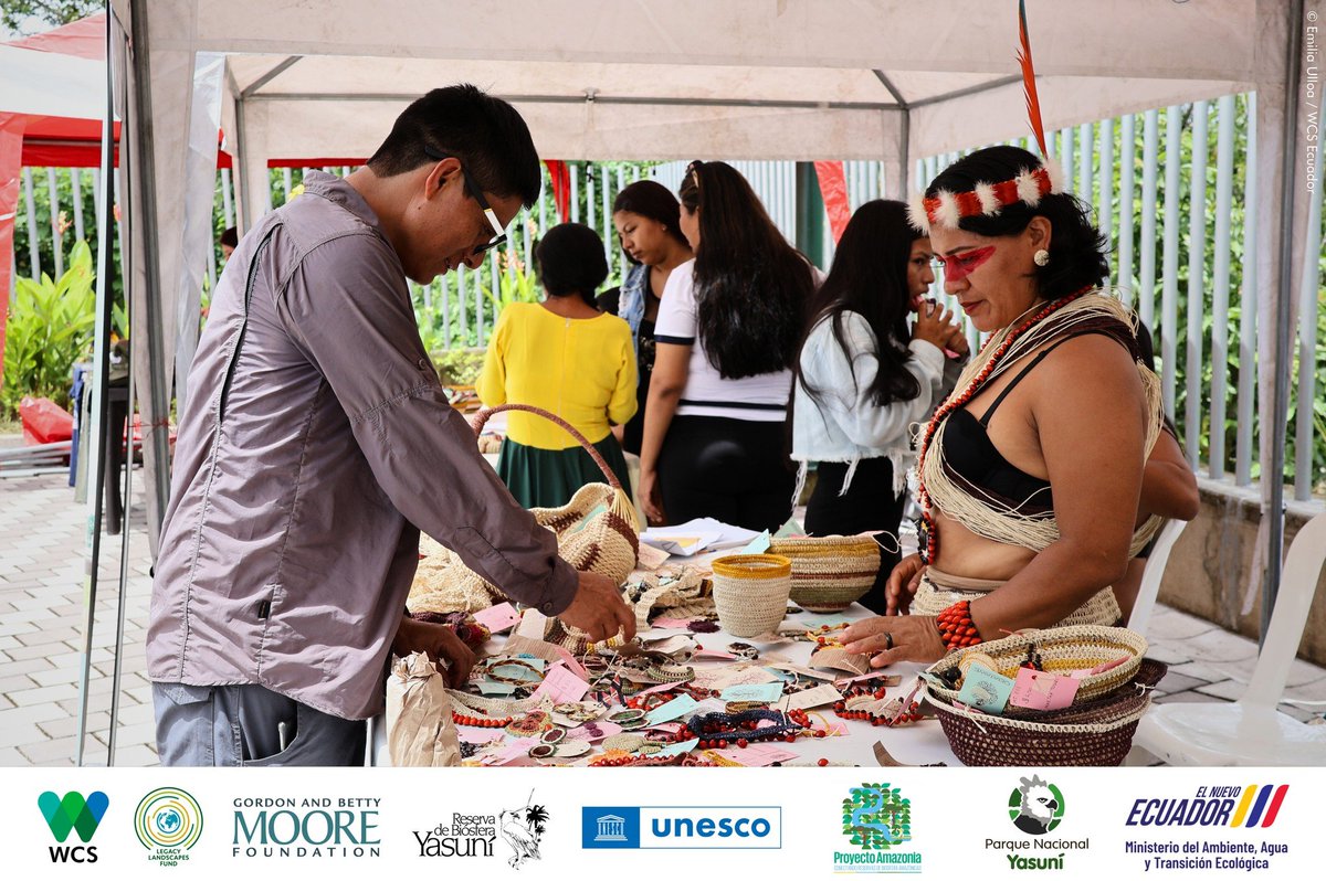 WCSEcuador's tweet photo. #AniversarioRBY 🎉 | En el marco de las celebraciones por los #36años de la declaratoria internacional de la #ReservadeBiósferaYasuní 🐾🌱, el fin de semana en la bocana del río Payamino, se llevó a cabo una Feria de #Bioemprendimientos y la noche cultural #Butako.
🖐️💚💙 https://t.co/HoC3KBA6cd