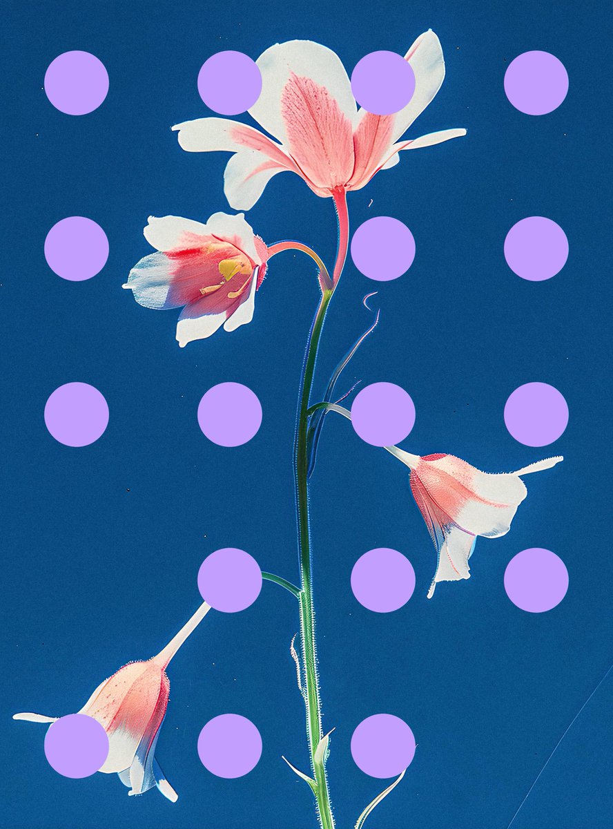 Flore Perdue by Linda Dounia