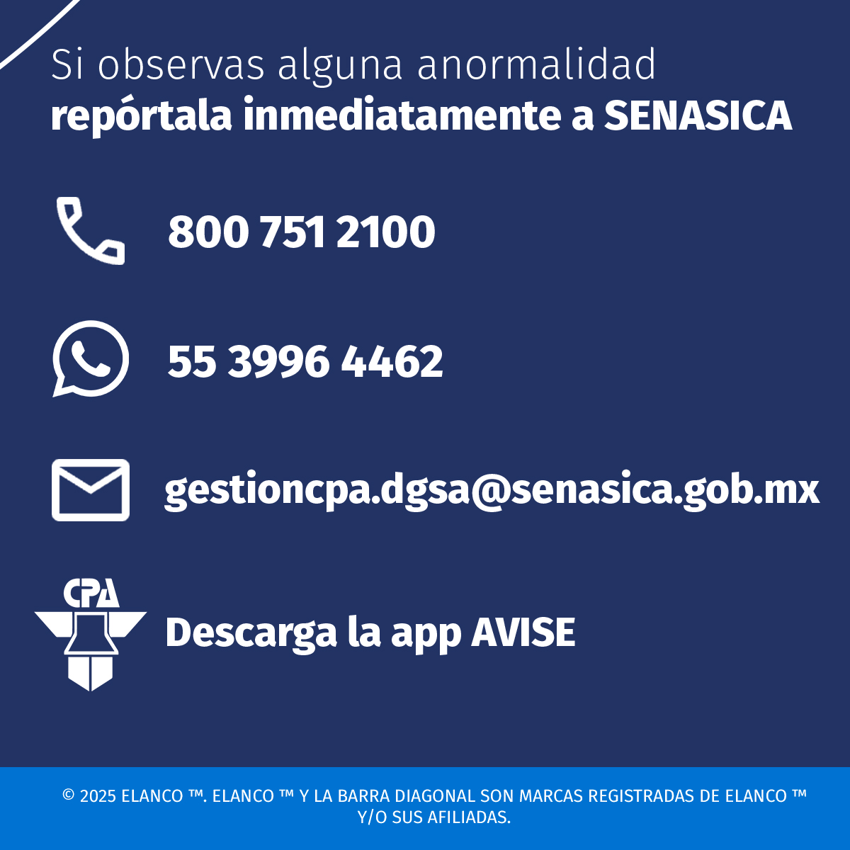 ElancoAgroMX's tweet photo. ‼️ ¡No dejemos que el gusano barrenador avance! 🪰🚫 Así como en los años 90s, Elanco tiene la solución clave para detener y prevenir las infestaciones. ¡Contáctanos y conoce más! https://t.co/96PyI4ORYk