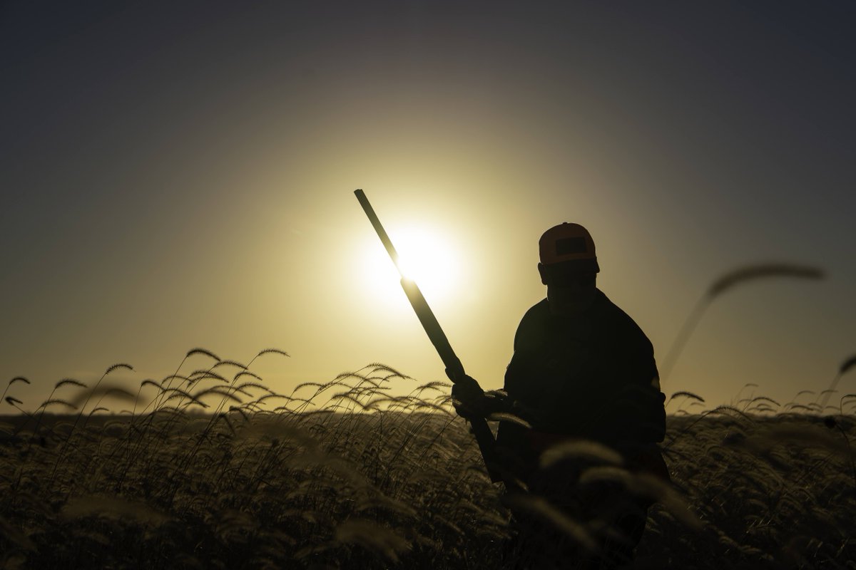 pheasants4ever's tweet photo. Our public lands are under attack. 

A looming proposal in the U.S. Senate could open the door to selling off lands that belong to all Americans.
 
Read “Our Land: The Soul of America” to understand what’s at stake – and then take action.
 
Click the link below to contact your two U.S. senators. It’s the most important thing you’ll do today.

Take Action: https://t.co/GZqBDJqM73

Read the article: https://t.co/j8kZdTJoFI