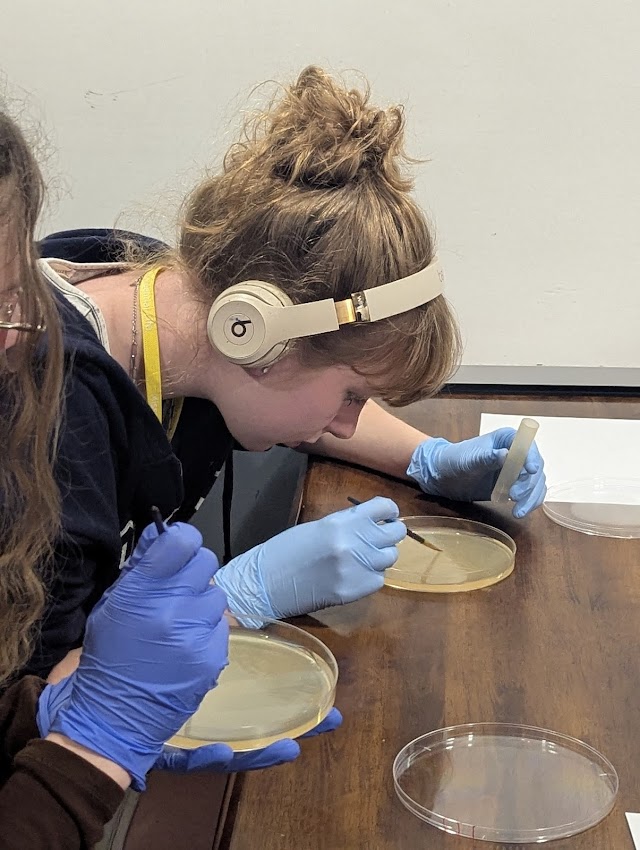 GermJuggler's tweet photo. Wrapping up day 2.5 with some #AgarArt. Lots of creativity! Stay tuned for photos next week. @MissouriSandT @sandtcase #EngineeringWithBiology https://t.co/NvAWQn82mD