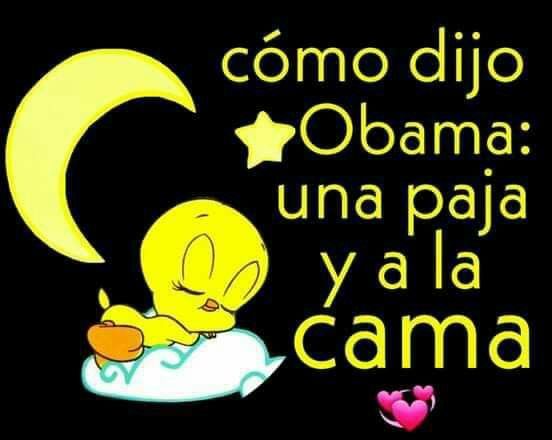 Candesgracia's tweet image. Yo voy a iniciar una moda en donde usemos hashtag para clasificar los memes qué usamos #tuity #memedetia