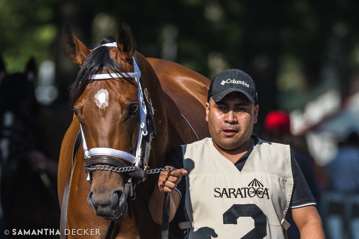 Samantha Decker (she/her) 📷 (@sdeckerphoto) on Twitter photo Congrats to the connections of the cleverly named Spinning Colors, winner of the Mount Vernon Stakes at Saratoga today!
Shot for the <a href="/saratogaspecial/">The Saratoga Special</a> Congrats to the connections of the cleverly named Spinning Colors, winner of the Mount Vernon Stakes at Saratoga today!
Shot for the <a href="/saratogaspecial/">The Saratoga Special</a>