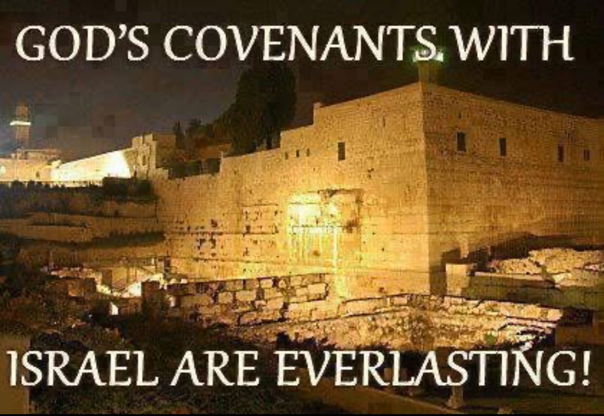 Zek R B (@901krissy) on Twitter photo 