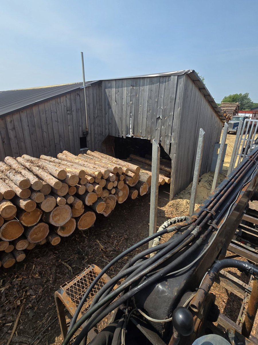 A load of Red pine bolts and a few big white pine bolts delivered to a Amish sawmill.  Couple of teenagers running a circle saw cutting lumber.