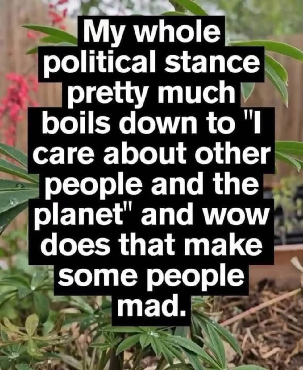 🎯