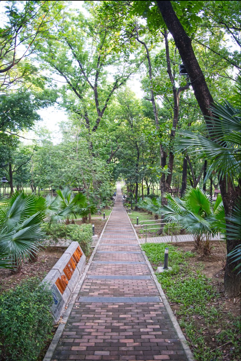 MorteJude's tweet photo. @mandolinaes B, this qualifies as a #path, right?
Taken at a college campus in #QuezonCity , #Philippines 🇵🇭
Just verifying...Thank you 😀
#Photography #BetaWay #UPDiliman #UPD #fujifilmXM5 #fujifilm_xseries https://t.co/MbloBTpwQJ