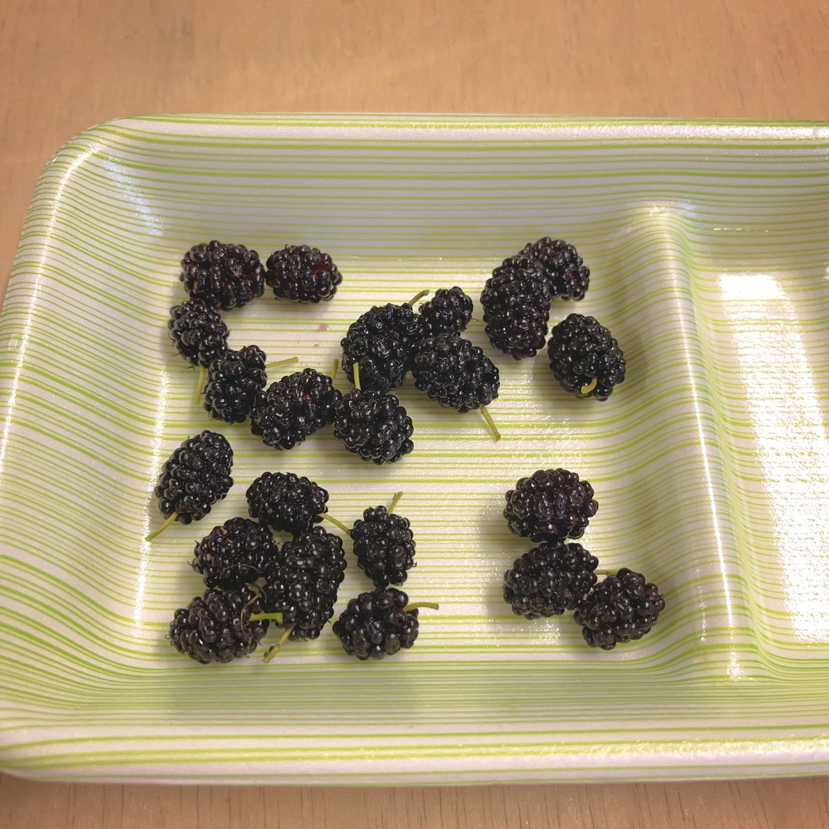 工房のマルベリー収穫２回目
本当はもう良いかなと思ったんですが、
熟して落ちたマルベリーに無数のアリ🐜が集まっているのを見て、これは放っておいたらアカンと急ぎ摘み取り😅

美味しいし栄養たっぷりだから良いんですけどね