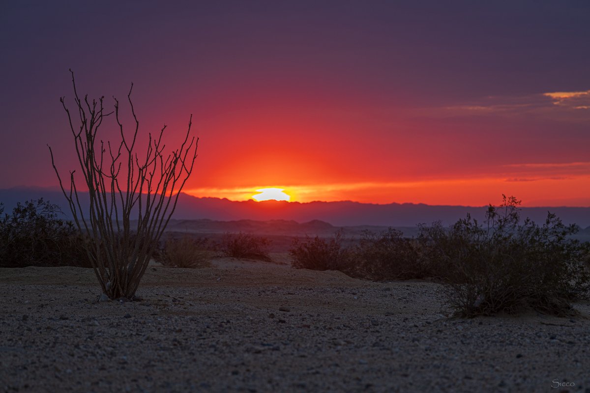 A few more pics from the Fish Creek area this morning while it was still cloudy (Photos: Sicco Rood). (1)