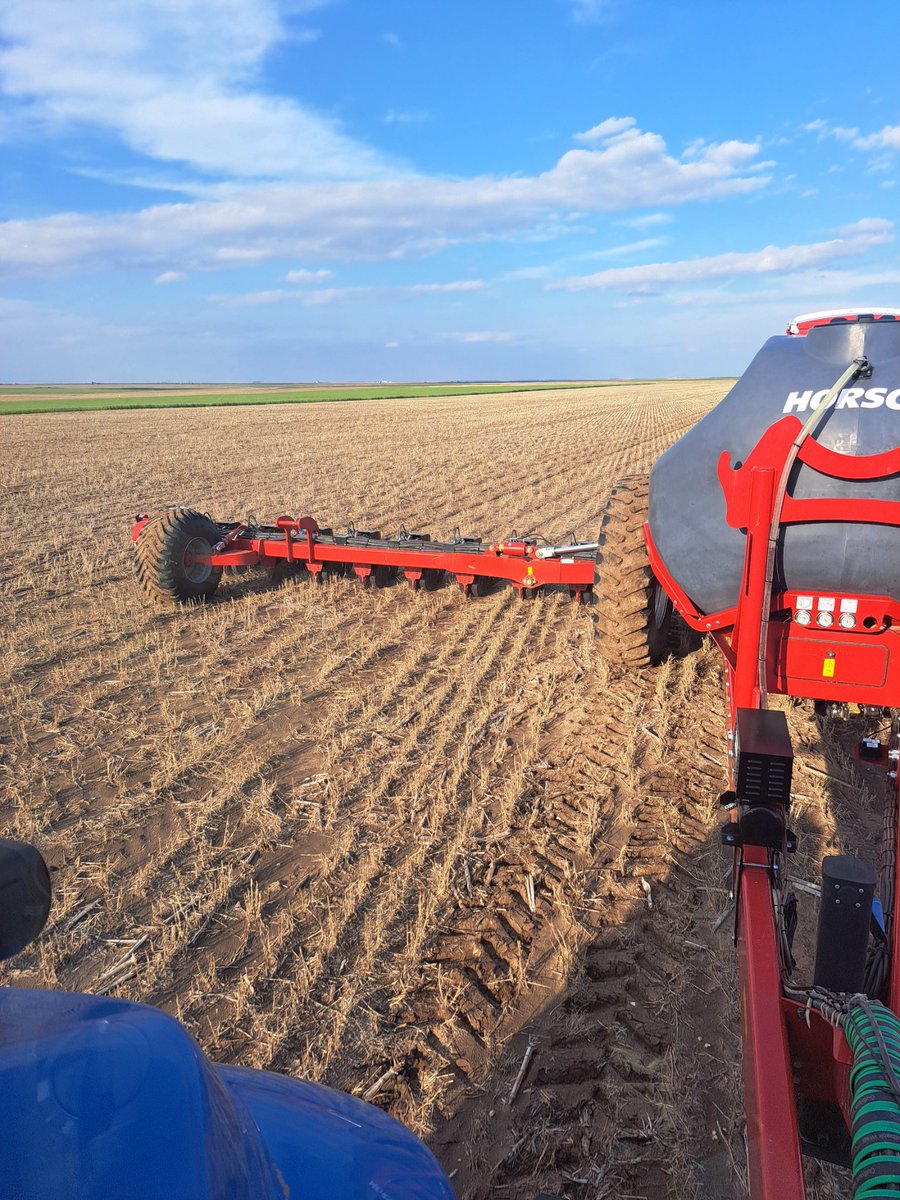 Jim Diamond tweet media