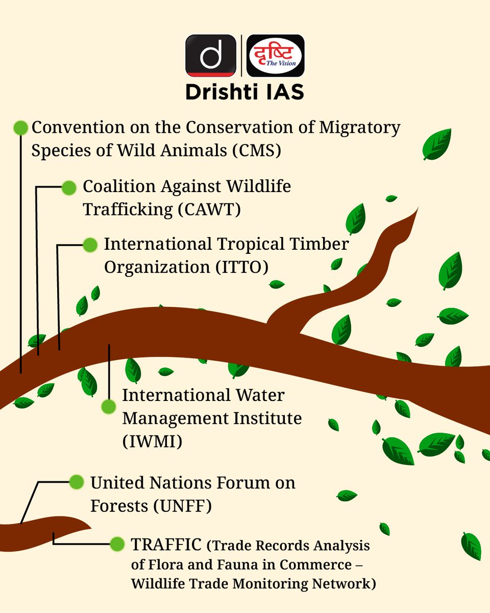 drishtiiaseng's tweet photo. From biodiversity to climate change and wildlife protection, these international organizations are the true defenders of our planet.
Can you guess which organization serves which purpose?
#WorldEnvironmentDay2025 #KnowYourPlanet #Environment #Nature #DrishtiIASEnglish https://t.co/NW54pFuKEv