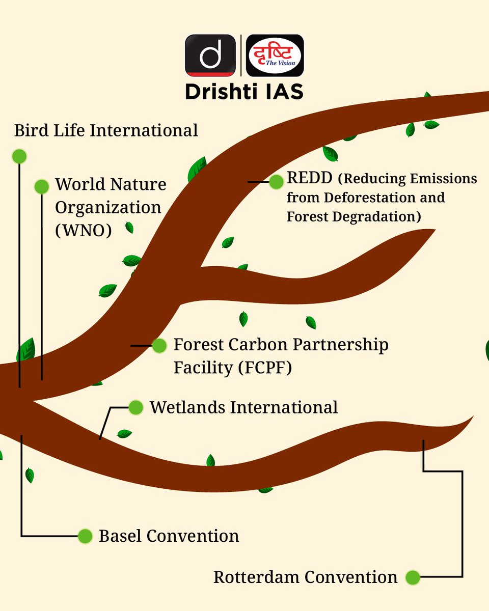 drishtiiaseng's tweet photo. From biodiversity to climate change and wildlife protection, these international organizations are the true defenders of our planet.
Can you guess which organization serves which purpose?
#WorldEnvironmentDay2025 #KnowYourPlanet #Environment #Nature #DrishtiIASEnglish https://t.co/NW54pFuKEv