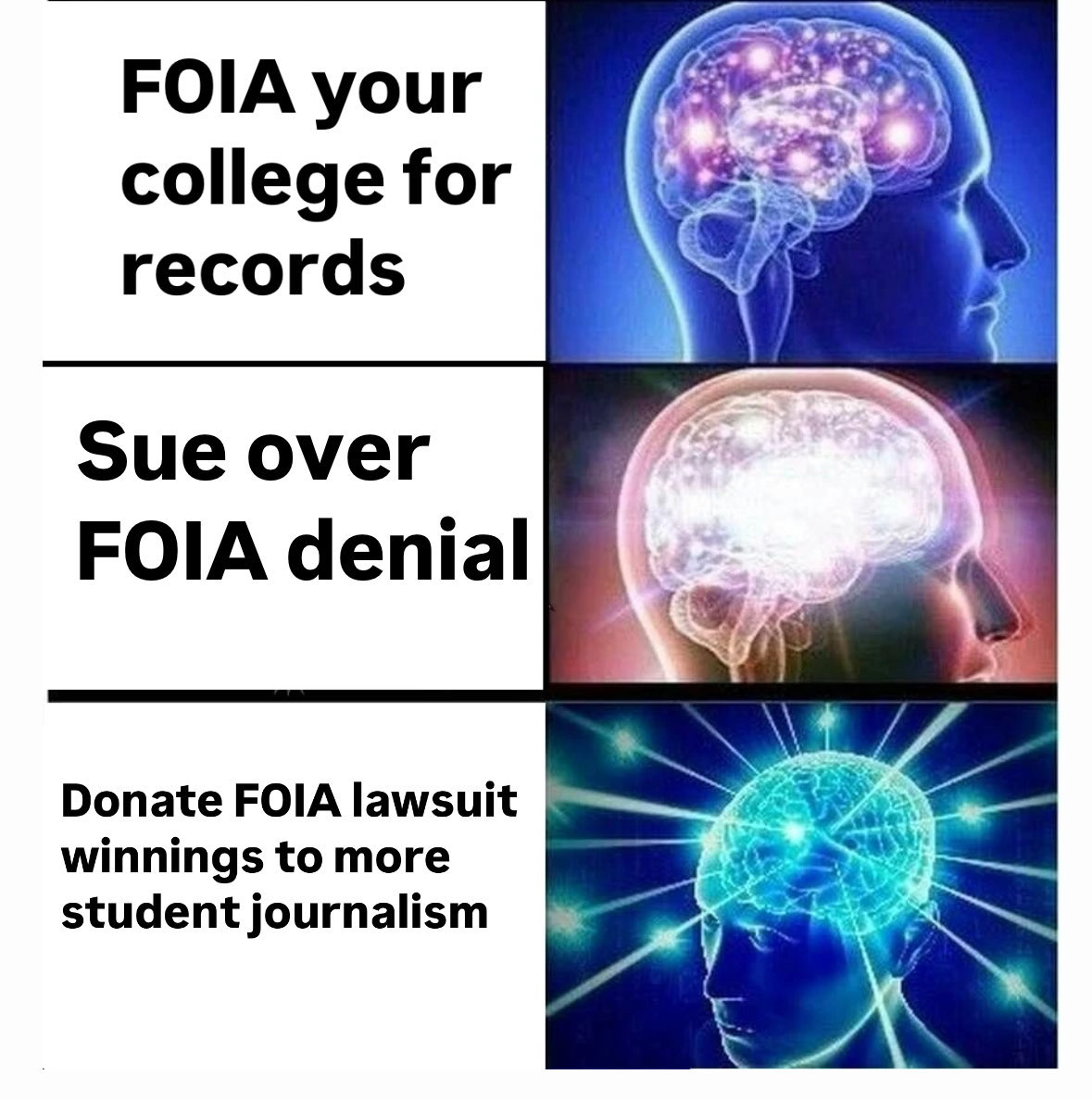 Nicole Foy tweet media