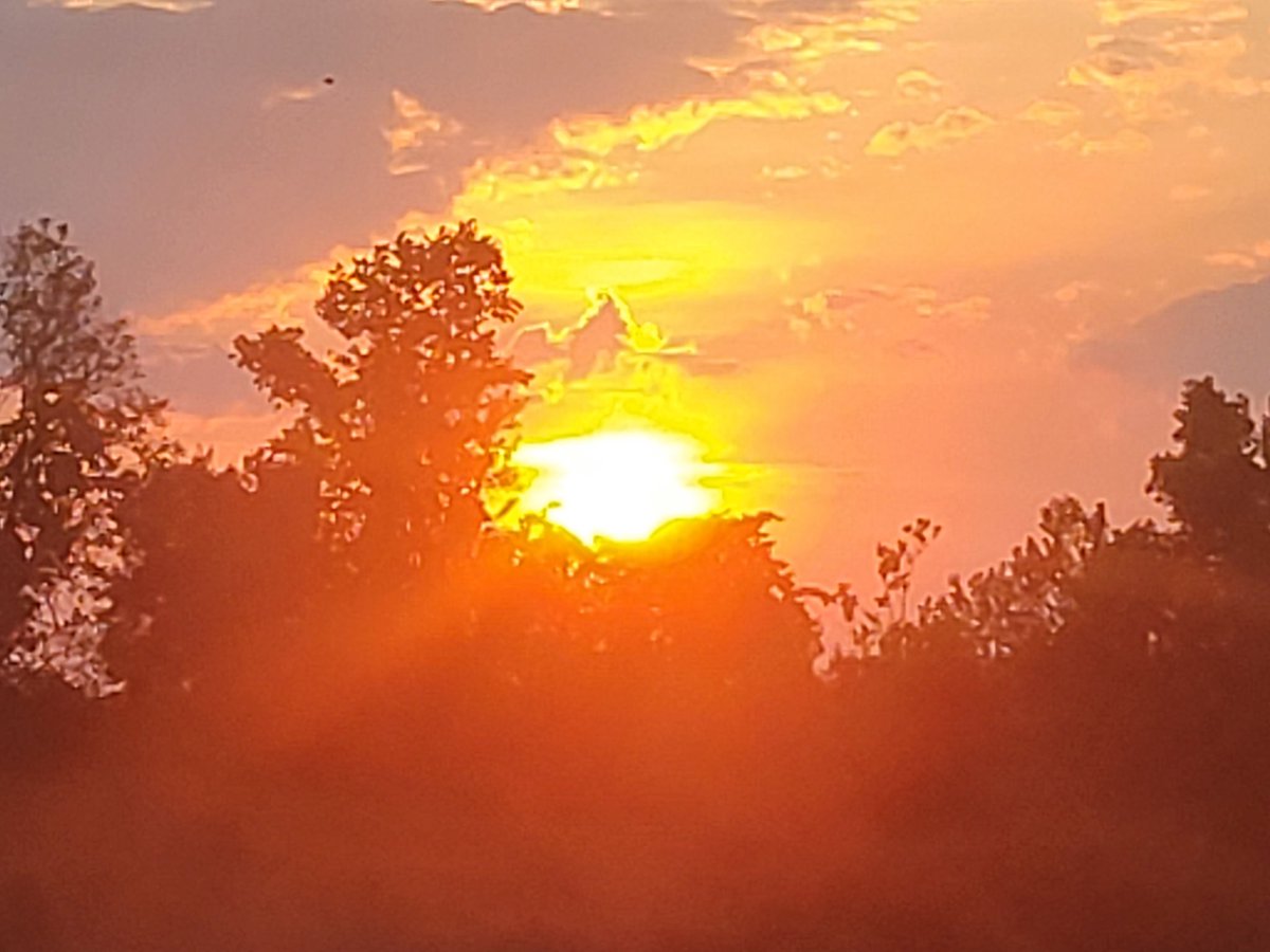 gordietheisen's tweet photo. "All things change, constantly. It's simply the way the universe operates. It's the way our lives work." #TheFirstWishofMrMurrayMcBride #JoeSiple https://t.co/gwVsEz5vwc