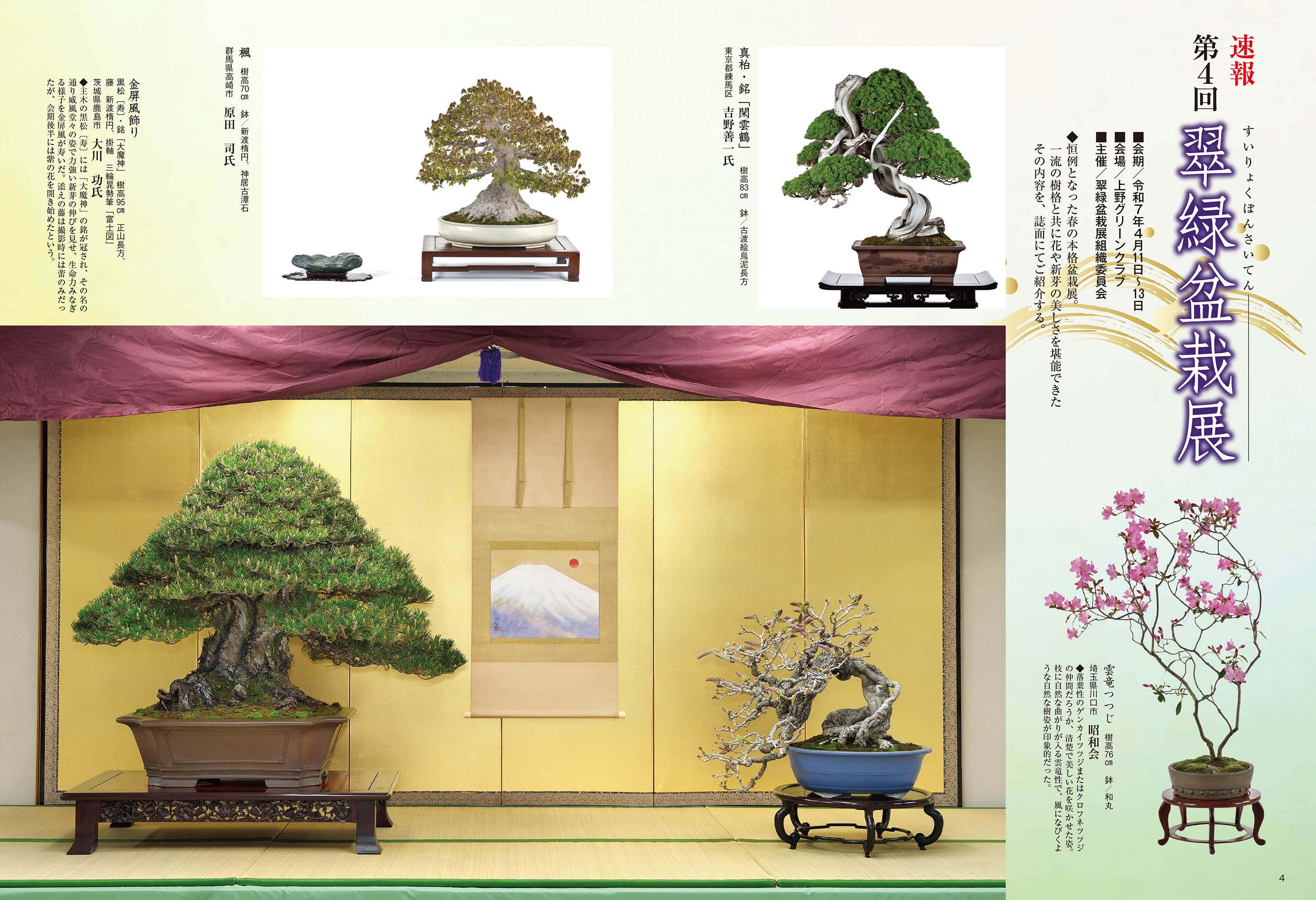 2012年4月 近代盆栽 松柏の植え替え特集｜雑木の芽つみガイド