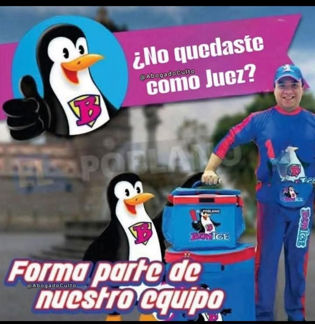 Ni modo, a la próxima busquen que los recomiende el legislativo, ahí no hay pierde.