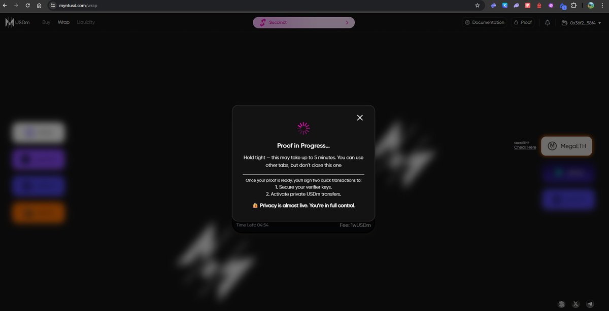 New adventure begins!

Thank you <a href="/SuccinctLabs/">Succinct</a> <a href="/MyntUSD/">Mynt</a>