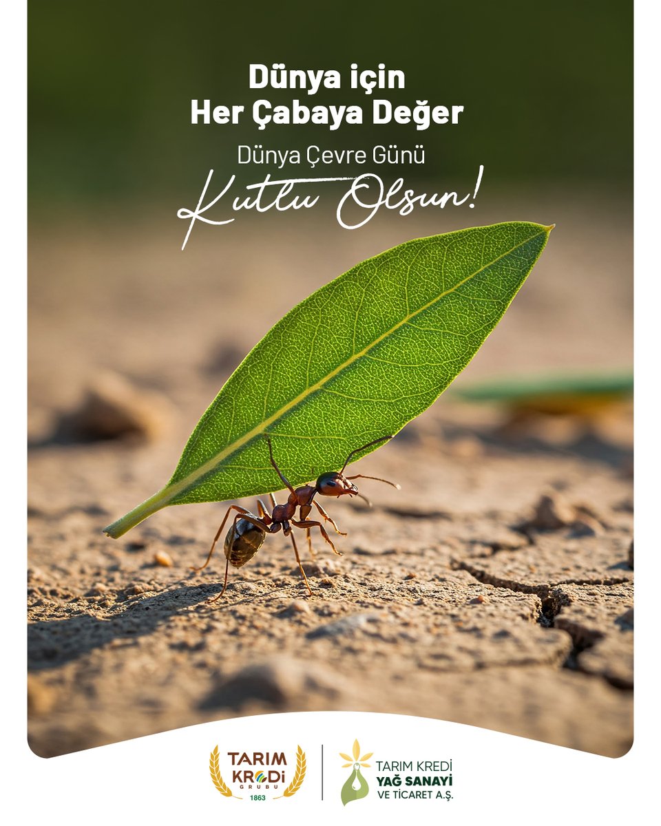 Çevreyi korumak, doğaya sahip çıkmak için gösterdiğimiz her emek değerli. Hep birlikte, anlamlı adımlarla geleceğimizi güzelleştirebiliriz. Çünkü, dünya için her çabaya değer!

#DünyaÇevreGünü #TarımKrediYağ #TarımKrediGrubu