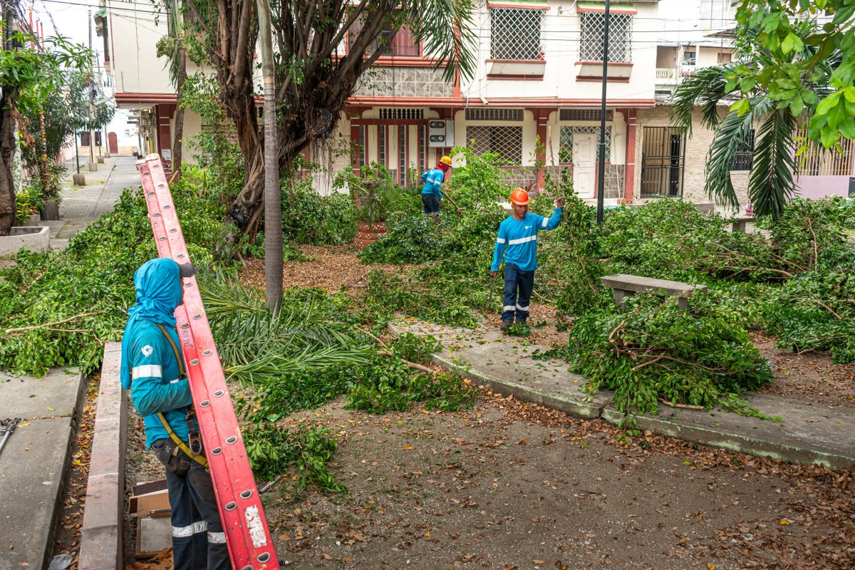 Parques EP (@parquesgye) on Twitter photo ¡Lo recuperamos para ti!
En Sauces 8, el Parque de la Amistad fue intervenido con poda, desbroce, limpieza y desalojo.
Seguimos cuidando tus espacios públicos.
#CiudadDetodos #Guayaquil #ParquesEP <a href="/aquilesalvarez/">Aquiles Alvarez Henriques</a> <a href="/alcaldiagye/">Muy Ilustre Municipalidad de Guayaquil</a> ¡Lo recuperamos para ti!
En Sauces 8, el Parque de la Amistad fue intervenido con poda, desbroce, limpieza y desalojo.
Seguimos cuidando tus espacios públicos.
#CiudadDetodos #Guayaquil #ParquesEP <a href="/aquilesalvarez/">Aquiles Alvarez Henriques</a> <a href="/alcaldiagye/">Muy Ilustre Municipalidad de Guayaquil</a>