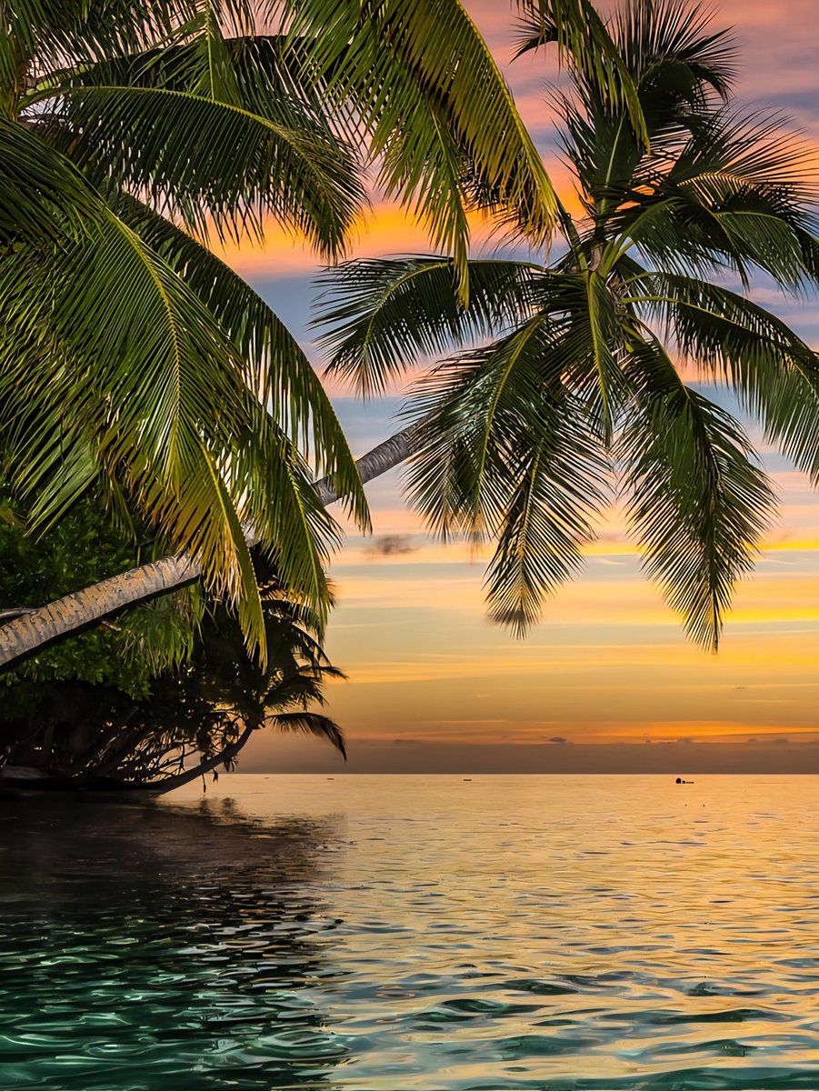 Wishing y'all a peaceful evening 🌴