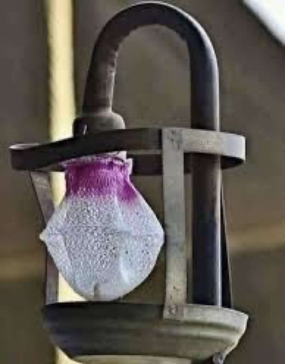 مساء الورد 🌹

اتحدى احد يعرفها ؟! 😂👇