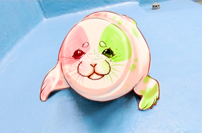 mochi niko
.
#seal #art #cute
