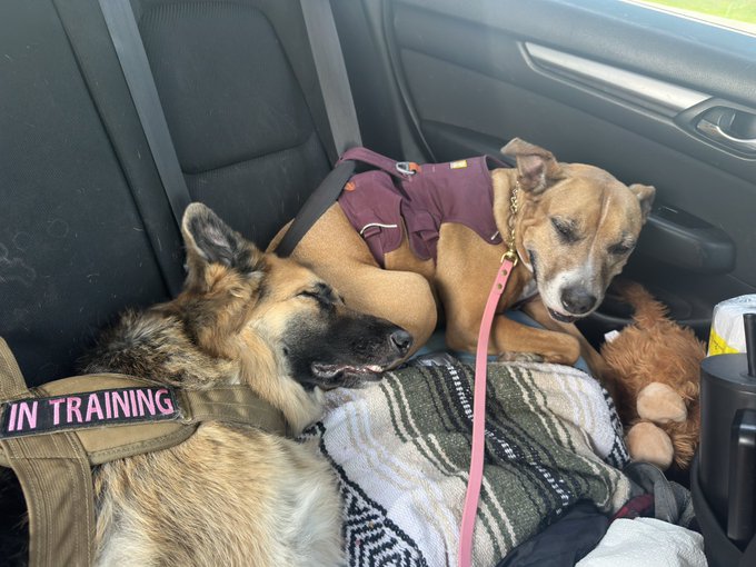 Watch Red 🇨🇦's leaked NSFW photo on TwXstars