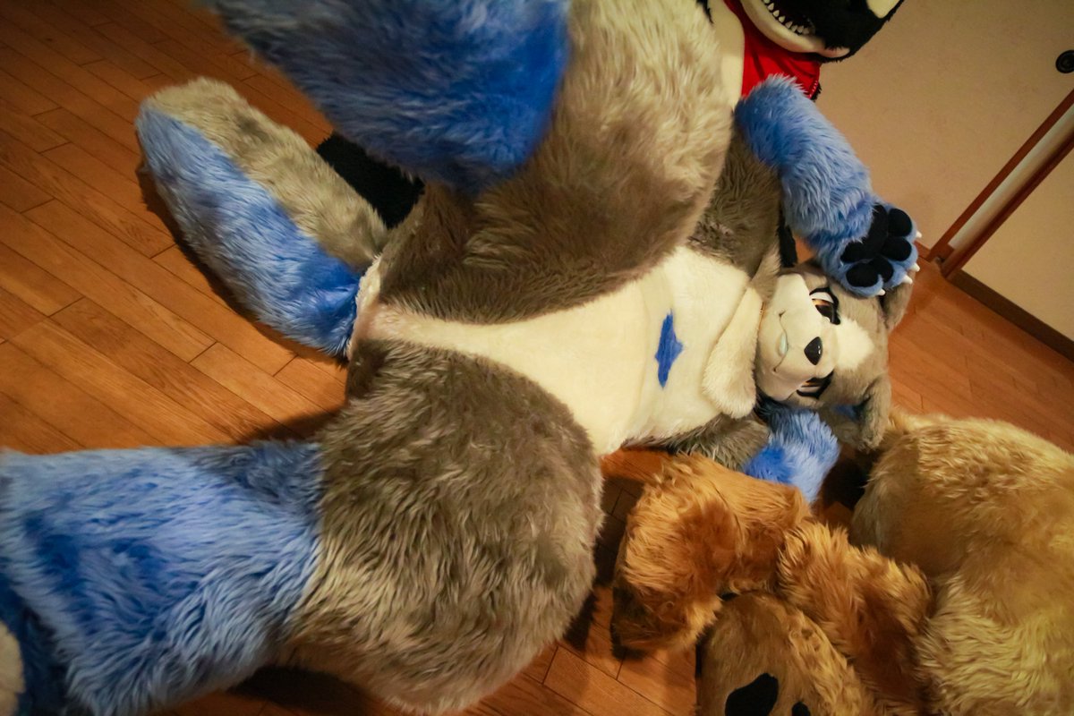 ヘソ天いぬ
#いぬかのなにか