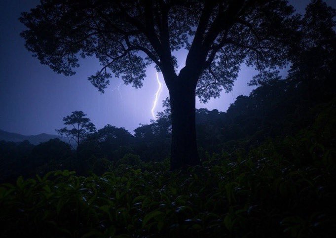 Mwiriweho ncuti zacu?
Ariko ngo iyo hakurya harimvura inyagiye aba RUNDI na FDLR?
 Gusa ngo harimo inkuba nyinci!!!😁
Amahindu yo ngo yari amabuye😂😂
Reka mbe ncwekuye 🏃 nzumva ibyo inkangu &amp; isuri ejo.