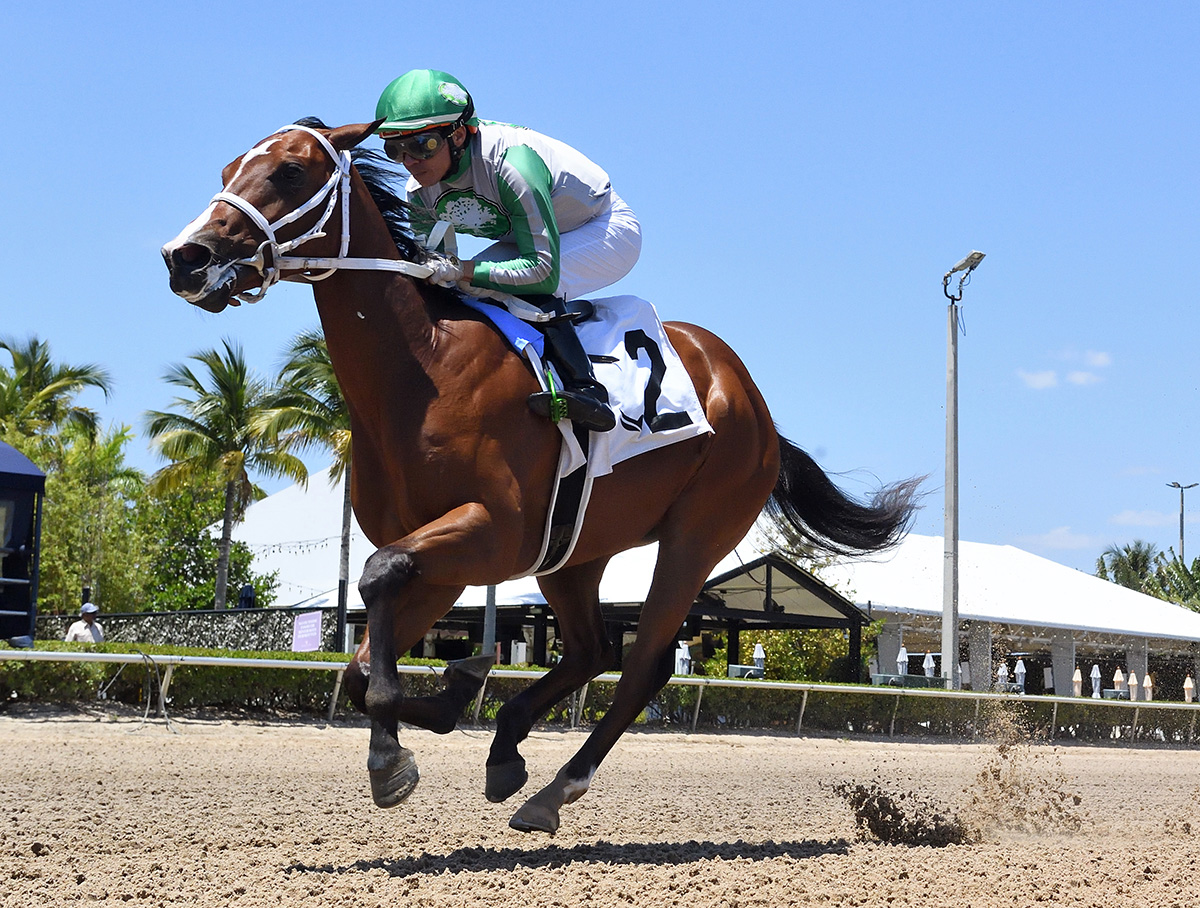 FTBOA (@florida_horse) on Twitter photo Inside This Issue of Wire to Wire
#FloridaBred Mythical is 8-5 Favorite in Thursdayās Tremont at #Saratoga <a href="/RacingDelgado/">Delgado Racing</a> <a href="/JaramilloJockey/">Emisael Jaramillo</a> <a href="/ArindelFarm/">Arindel Farm</a>
Click to read all stories: conta.cc/45EFv4i
@VideoHipico <a href="/TheBrockTalk/">Brock Sheridan</a> <a href="/TammyAnnGantt/">Tammy Gantt</a> <a href="/HipismoyPunto/">Hipismo.Net</a> #Wire2Wire Photo: Inside This Issue of Wire to Wire
#FloridaBred Mythical is 8-5 Favorite in Thursdayās Tremont at #Saratoga <a href="/RacingDelgado/">Delgado Racing</a> <a href="/JaramilloJockey/">Emisael Jaramillo</a> <a href="/ArindelFarm/">Arindel Farm</a>
Click to read all stories: conta.cc/45EFv4i
@VideoHipico <a href="/TheBrockTalk/">Brock Sheridan</a> <a href="/TammyAnnGantt/">Tammy Gantt</a> <a href="/HipismoyPunto/">Hipismo.Net</a> #Wire2Wire Photo: