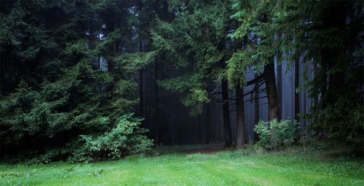 mystical. ݁ ˖๋ ࣭ ྀ࿐