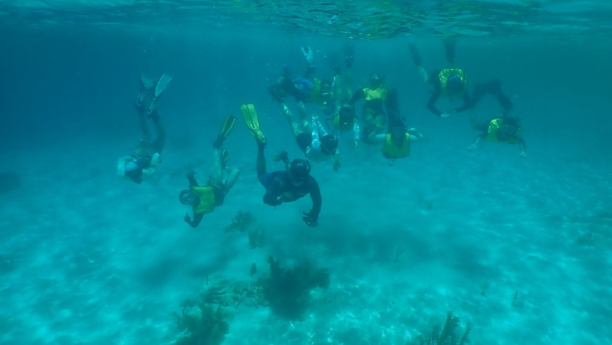 disealab's tweet photo. A super cool experience for several Dauphin Island Sea Lab summer students in the Coral Reef Ecology class taught by Dr. Benjamin Titus, @UofAlabama/DISL. The students completed their classroom work and then packed up for a two-week field experience in Honduras.
#DISLexperience https://t.co/Oe8vIBSjVz