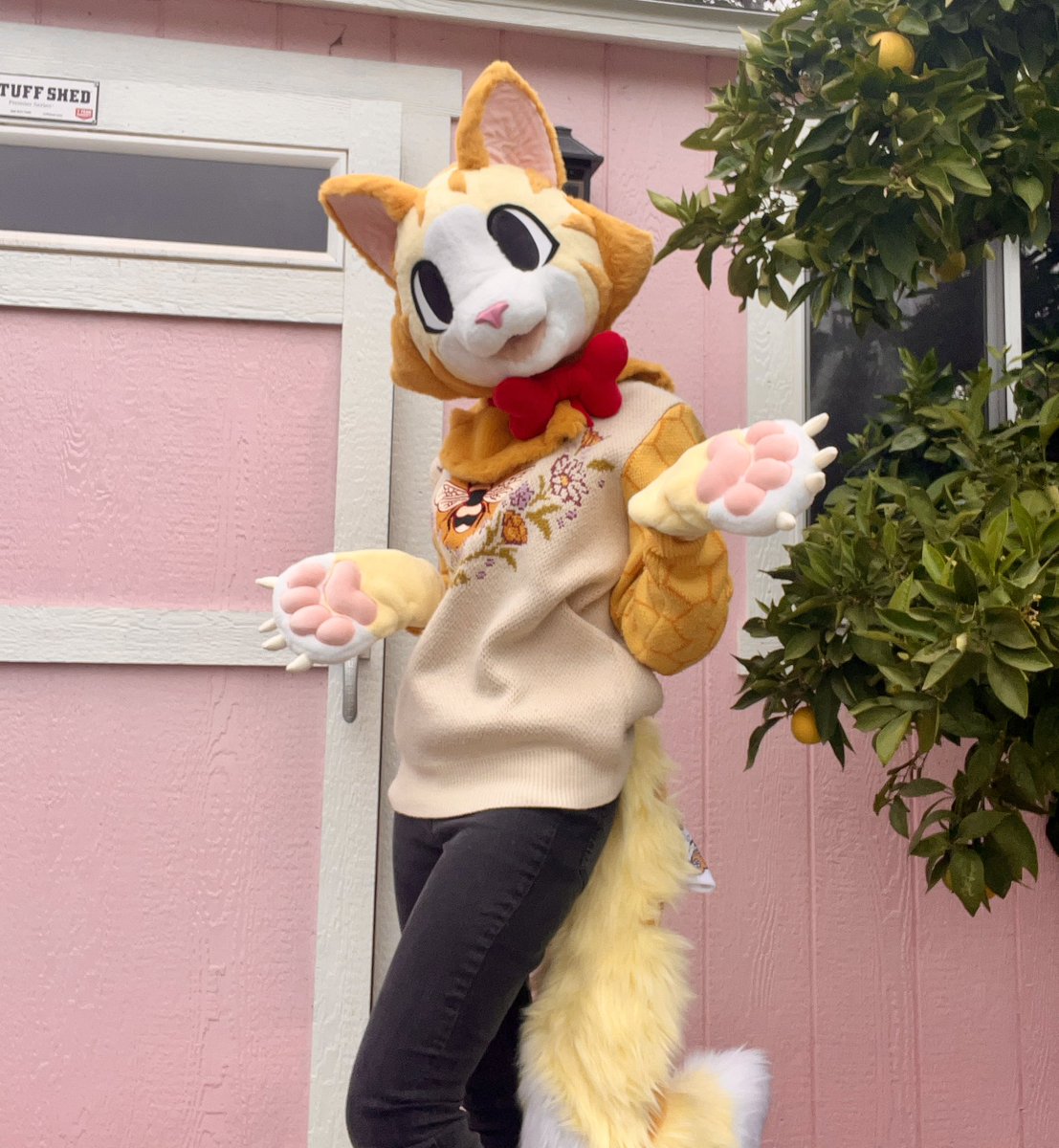 🌼Gold Flower🌼 tweet media