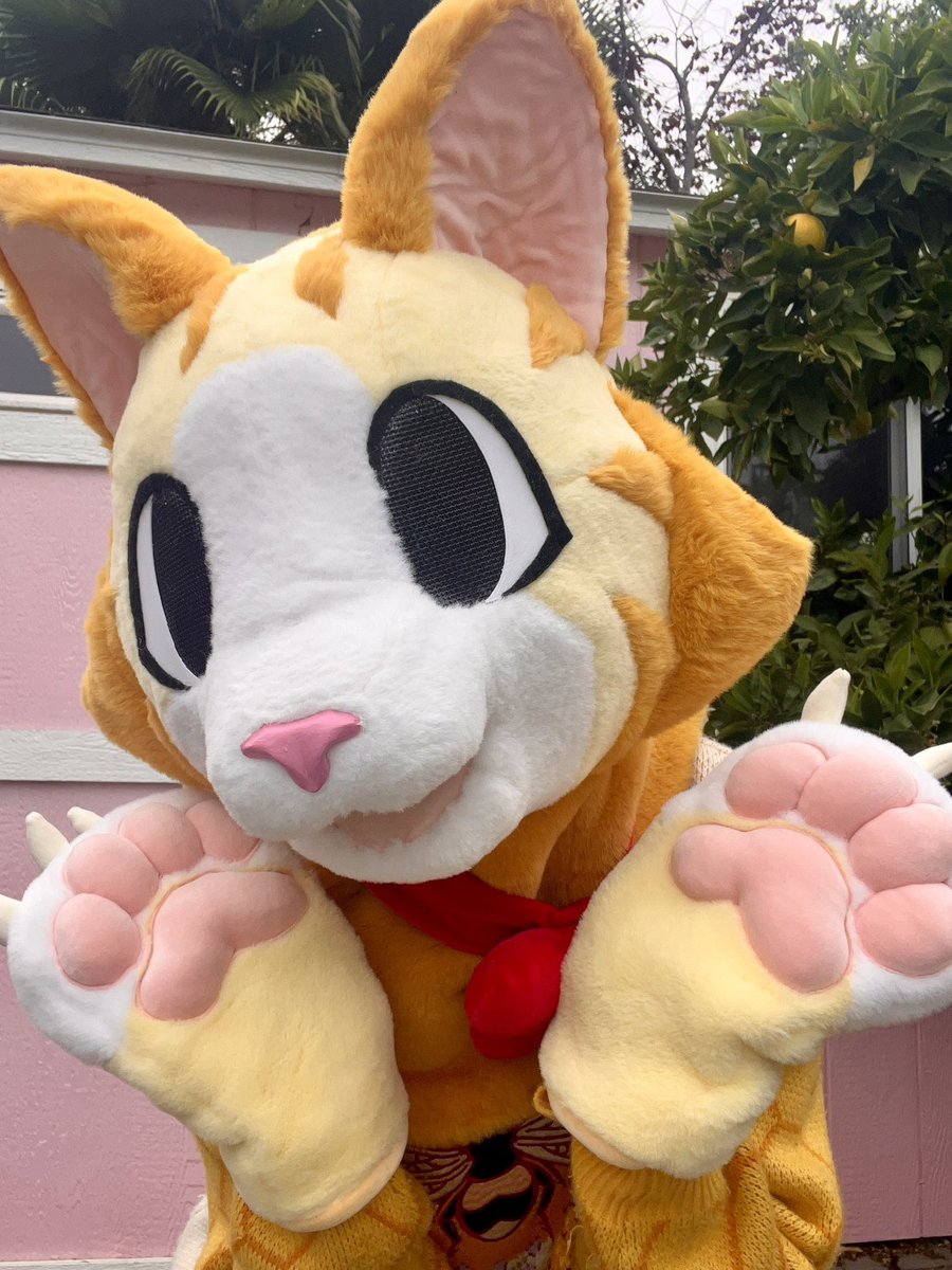 🌼Gold Flower🌼 tweet media