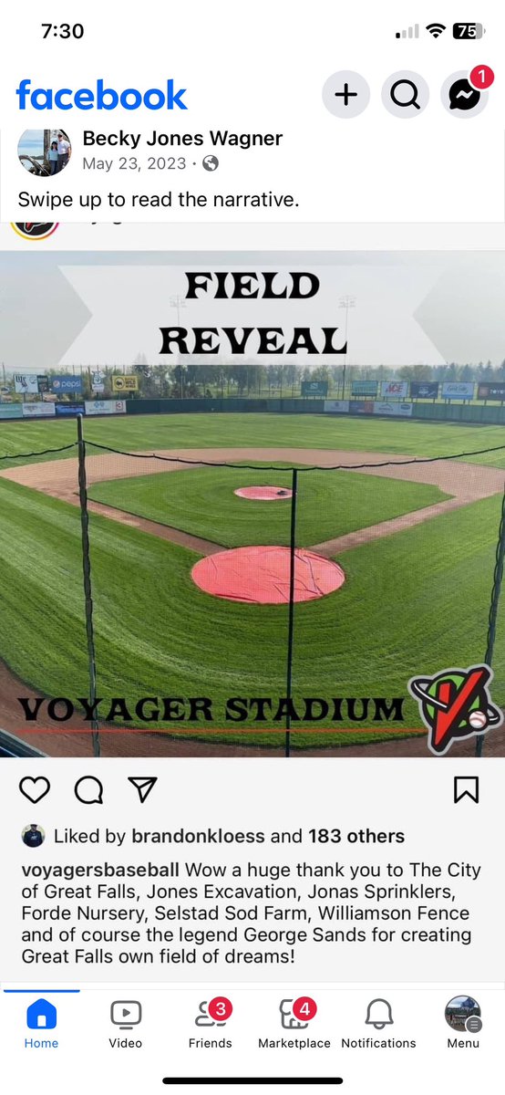 BallparkOne LLC tweet media