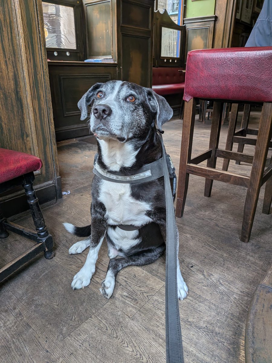 trangpang's tweet image. Archer 
#LastDrop #Edinburgh