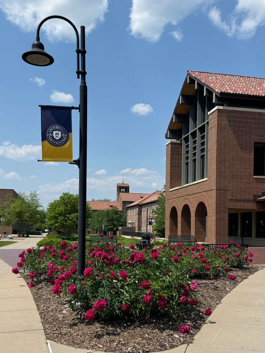 Beautiful summertime campus sightings☁️