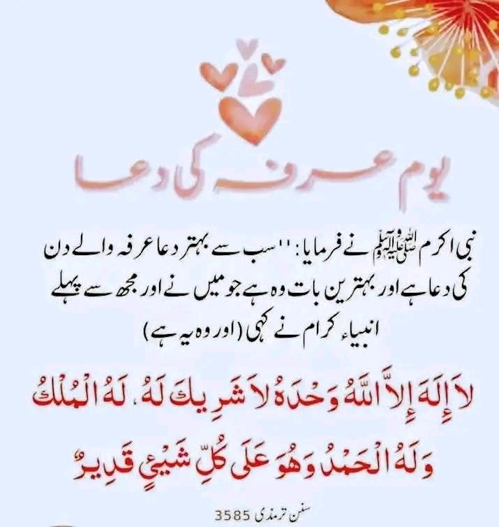 razapai's tweet photo. https://t.co/1lXpRmpgfx